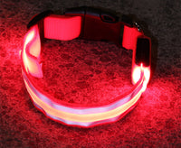 LED collar in white