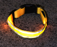 Rechargeable LED collar in blue