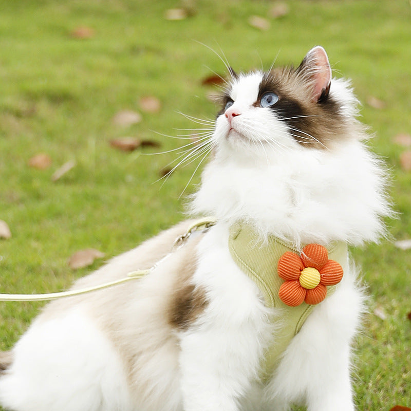Flower Bloom Rope Harness Vest for Cats and Dogs