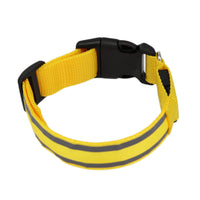 Multi-colour LED collar options