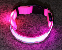Battery model LED collar in green