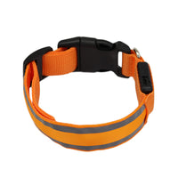 Festive LED collar set laid out