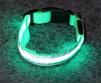LED collar in red