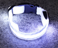 Colourful rechargeable LED collar