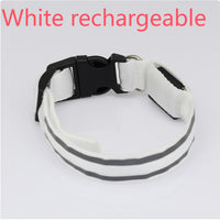 Rechargeable collar charging