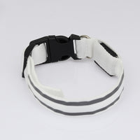 LED collar in pink
