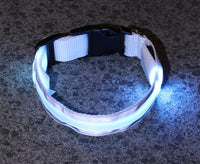 LED collar in yellow