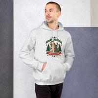 Heavy blend hoodie showing merry christmas from our pack to yours dog and cat graphic, Ash, front view